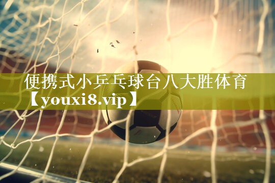 便携式小乒乓球台八大胜体育