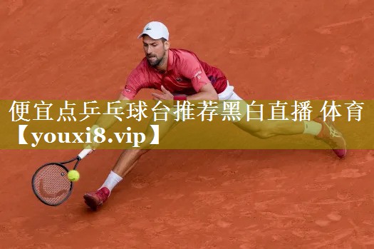 便宜点乒乓球台推荐黑白直播 体育