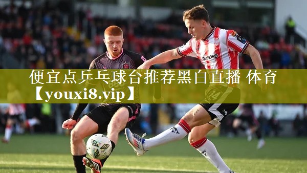 便宜点乒乓球台推荐黑白直播 体育
