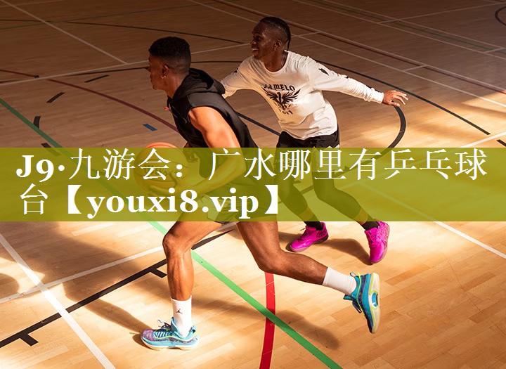 广水哪里有乒乓球台 广水哪里有乒乓球台