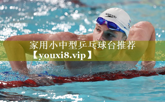 家用小中型乒乓球台推荐 家用小中型乒乓球台推荐